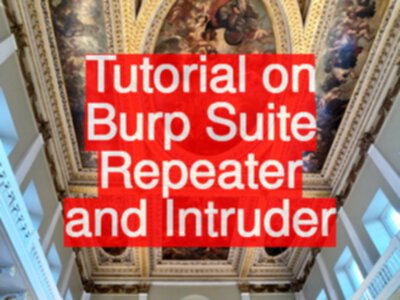 Burp suite | PDF